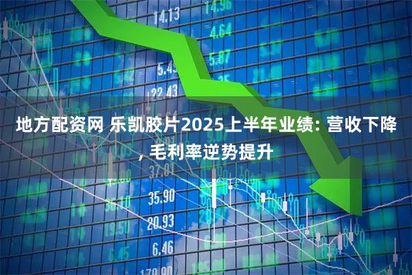 地方配资网 乐凯胶片2025上半年业绩: 营收下降, 毛利率逆势提升