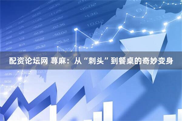 配资论坛网 荨麻:从“刺头”到餐桌的奇妙变身