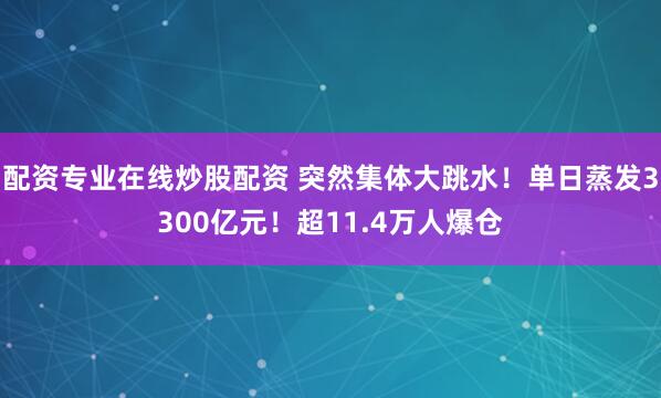 配资专业在线炒股配资 突然集体大跳水！单日蒸发3300亿元！超11.4万人爆仓