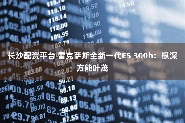 长沙配资平台 雷克萨斯全新一代ES 300h：根深方能叶茂